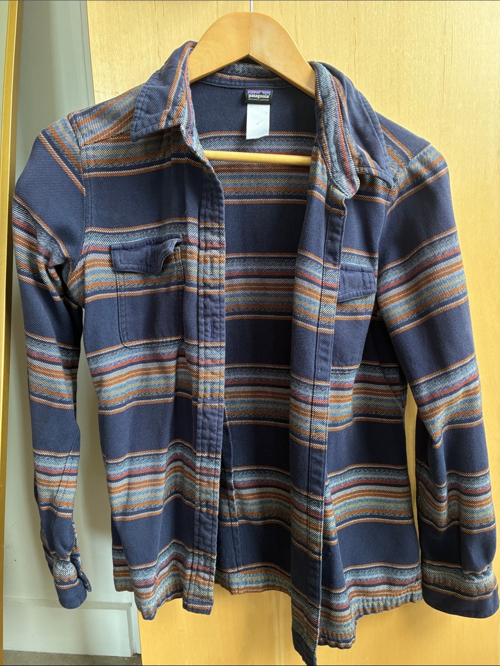 Patagonia Navy Multi-Striped Casual Button-Down Shirt